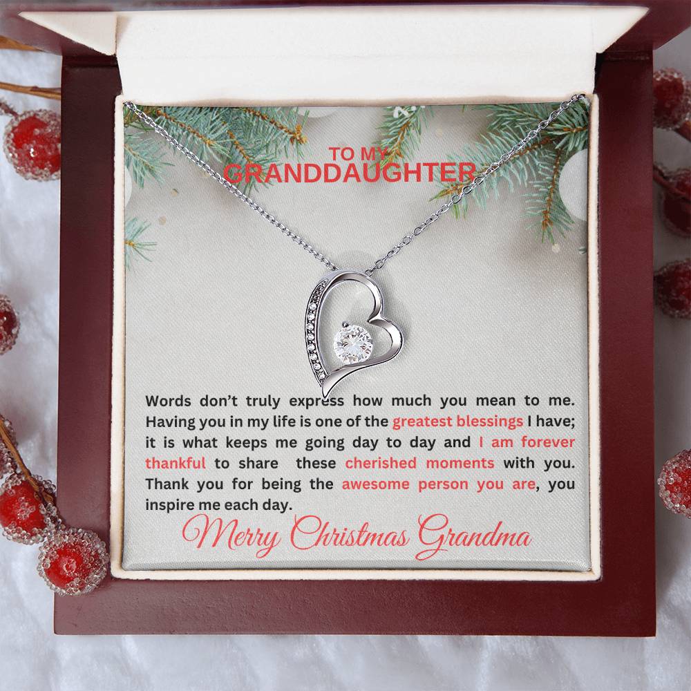 To My Granddaughter | Words Don't Express Forever Love Necklace