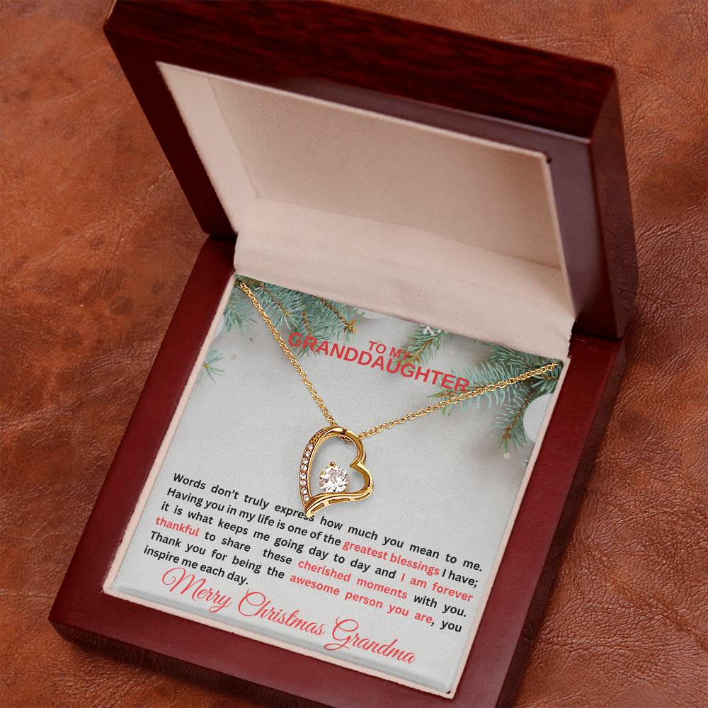 To My Granddaughter | Words Don't Express Forever Love Necklace