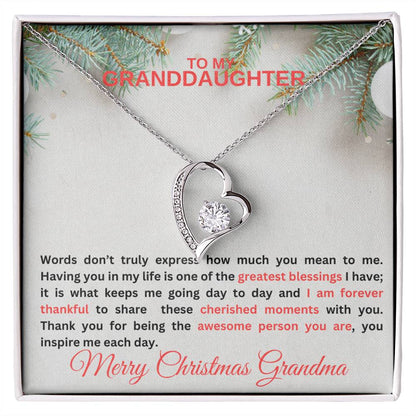 To My Granddaughter | Words Don't Express Forever Love Necklace