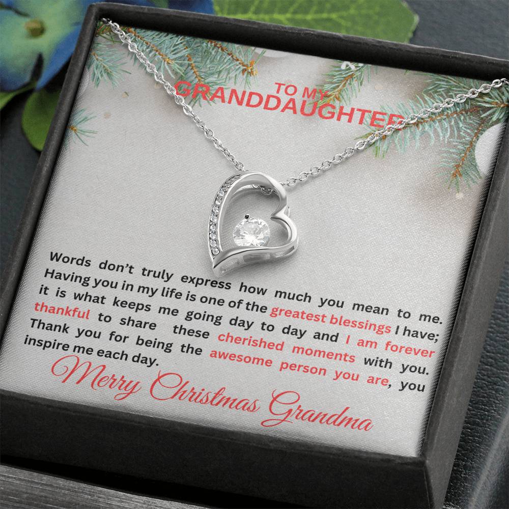 To My Granddaughter | Words Don't Express Forever Love Necklace