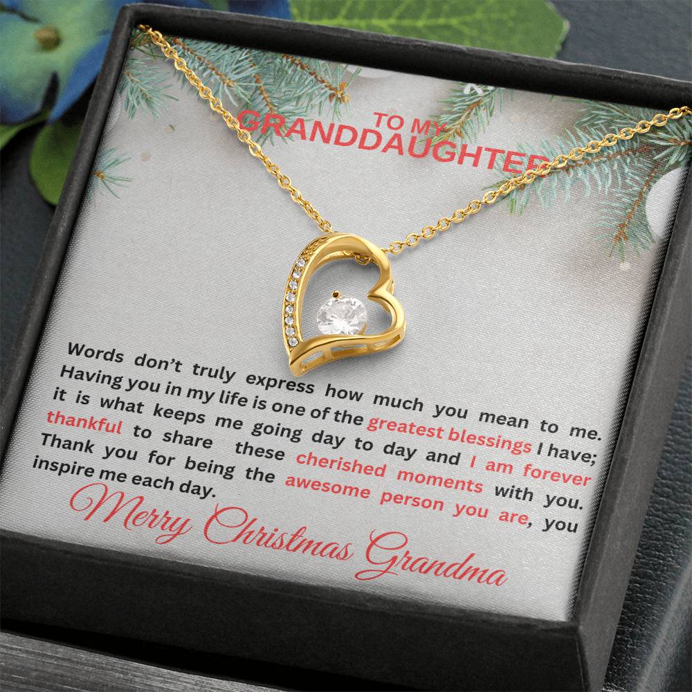 To My Granddaughter | Words Don't Express Forever Love Necklace